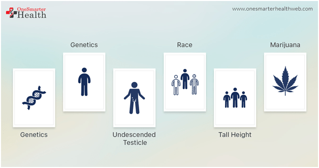 risk factor of testicular cancer